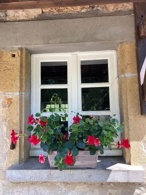 Vakantiehuis La Poire, Op Landgoed Aan De Dordogne Prudhomat Exterior foto
